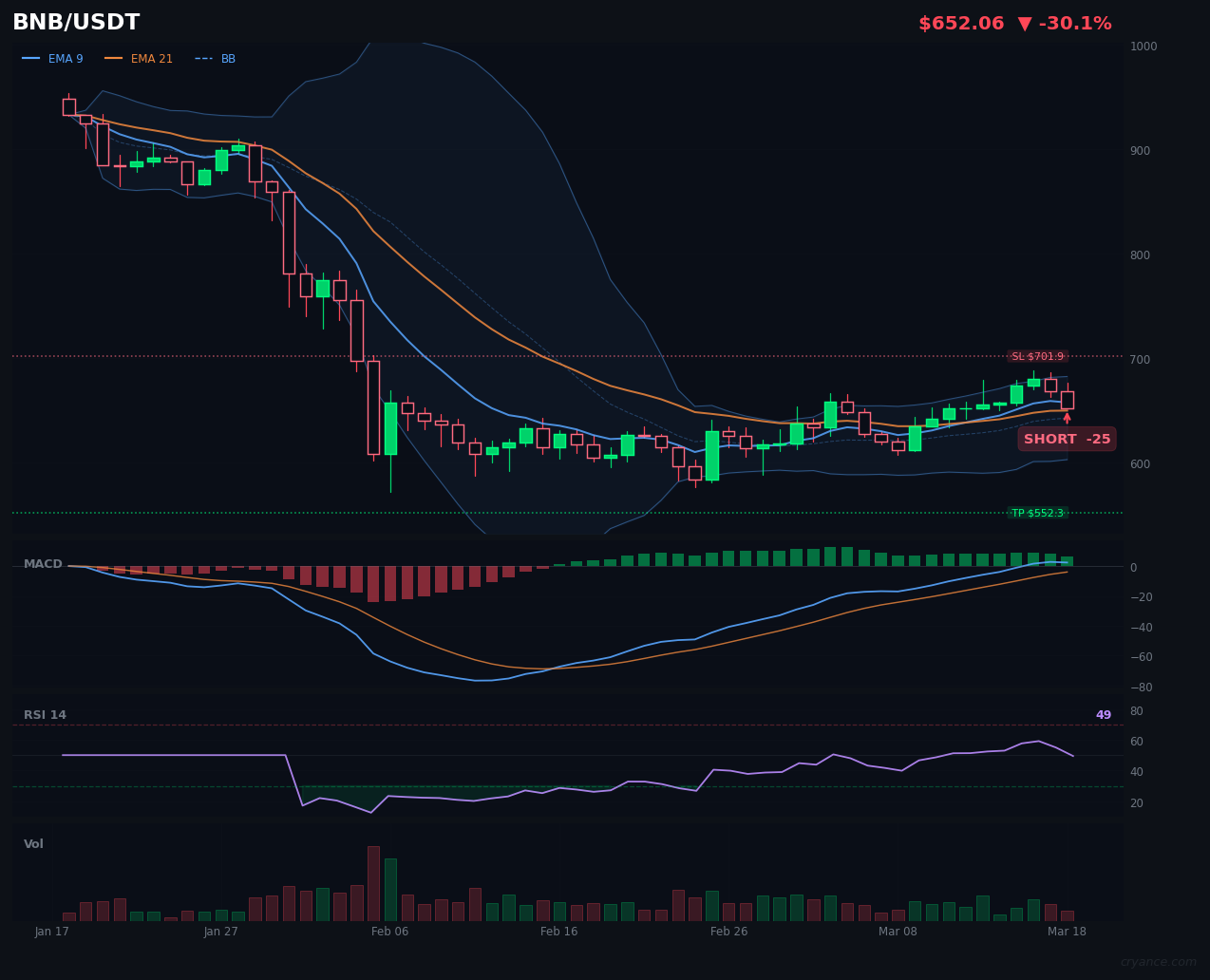 BNB's LLM Model Shows Technical Glitch in Signal Generation