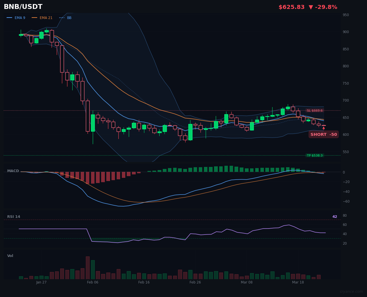 BNB's Bullish Streak Shatters: LLM Flips Bearish in Sudden Reversal