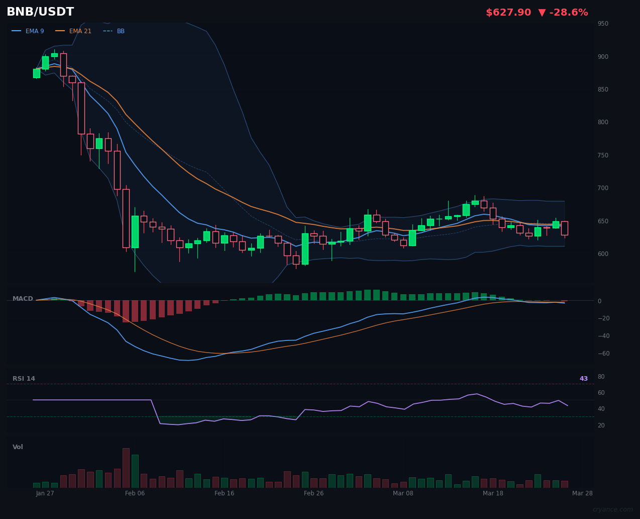 BNB Follows BTC Out of the Chaos