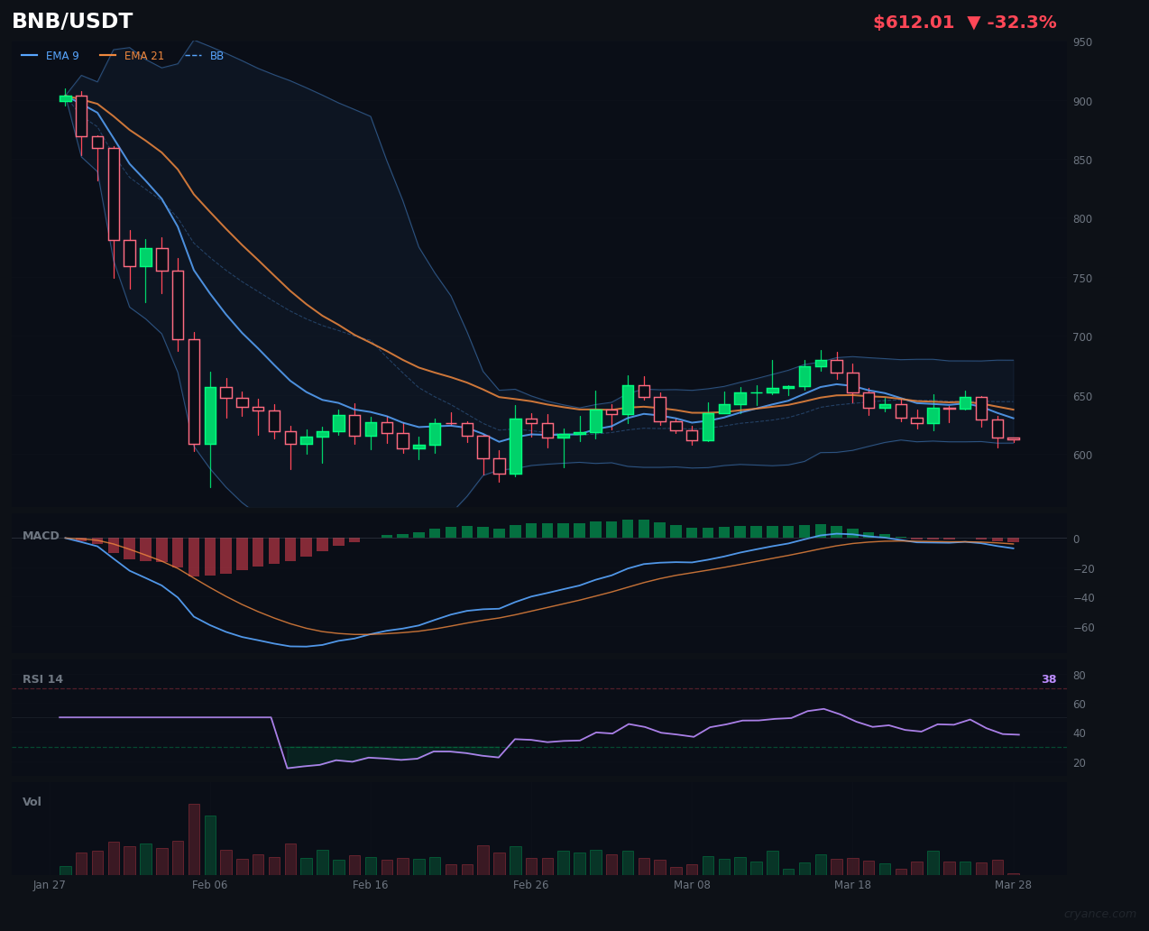 BNB's Wild Ride Settles Down — For Now