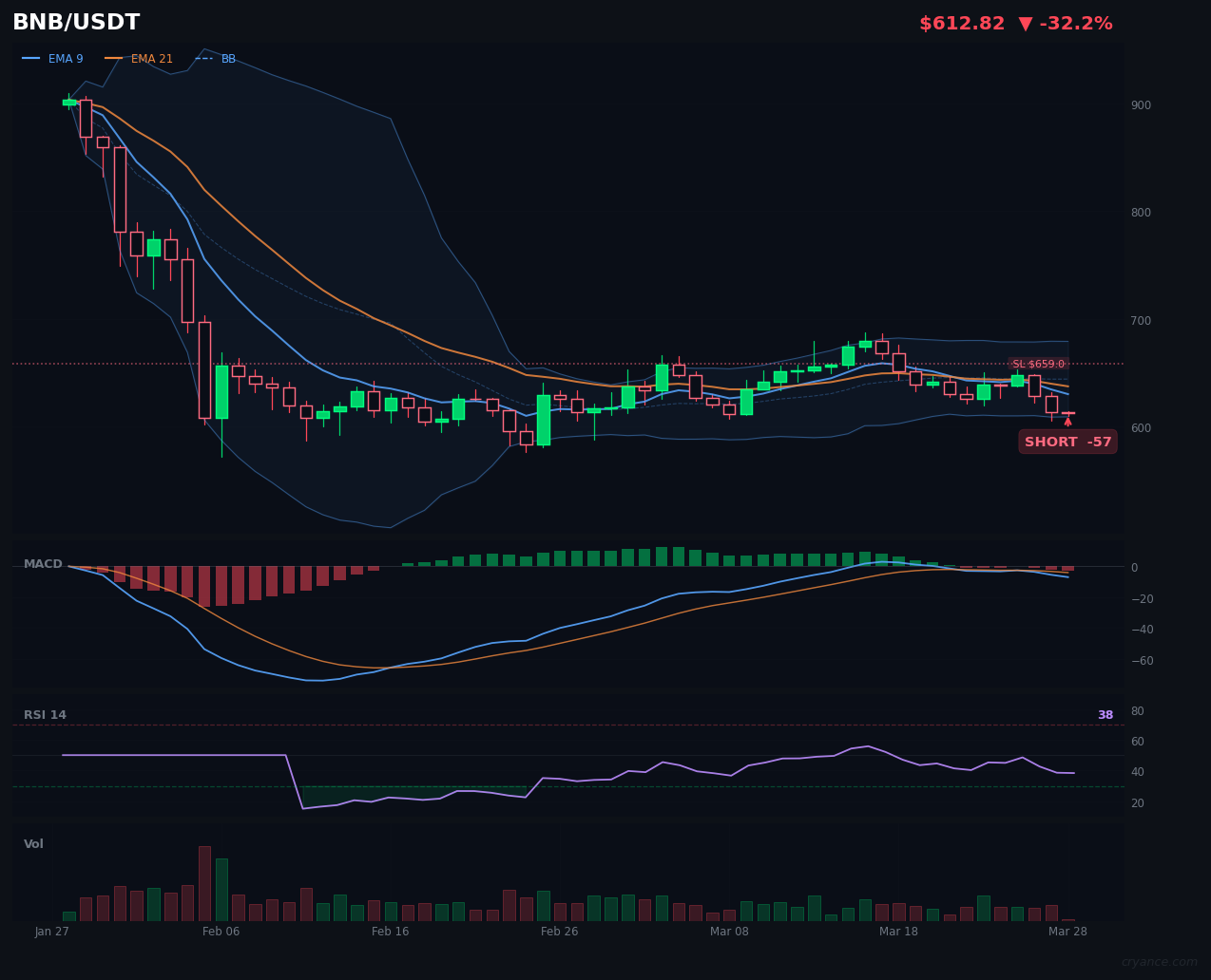 BNB's AI Truce: The Bearish Consensus