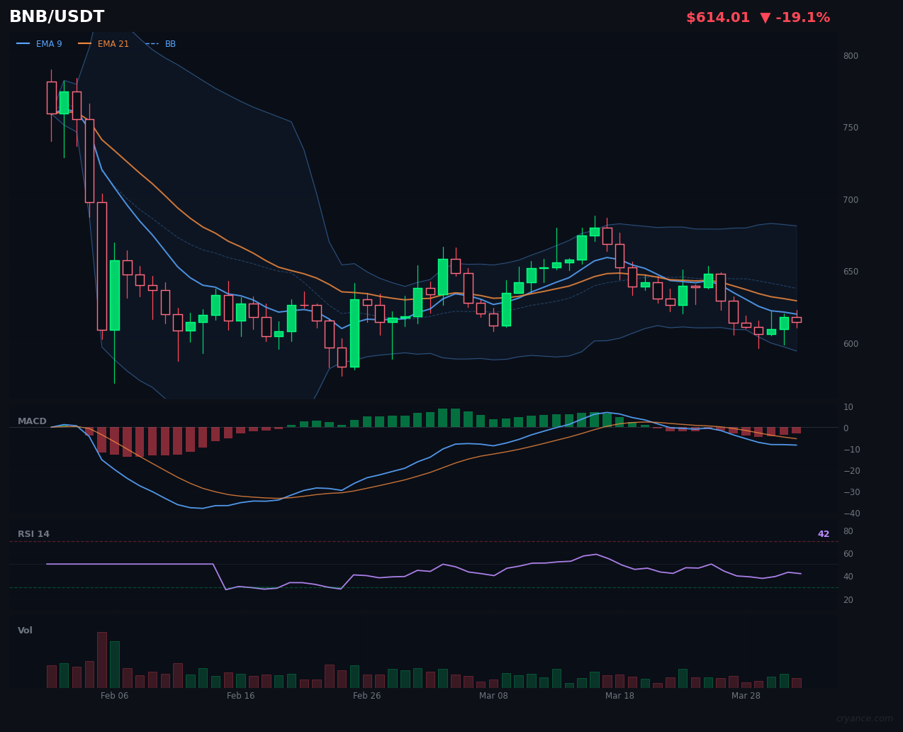 BNB Breaks Down — The Last Trend Falls