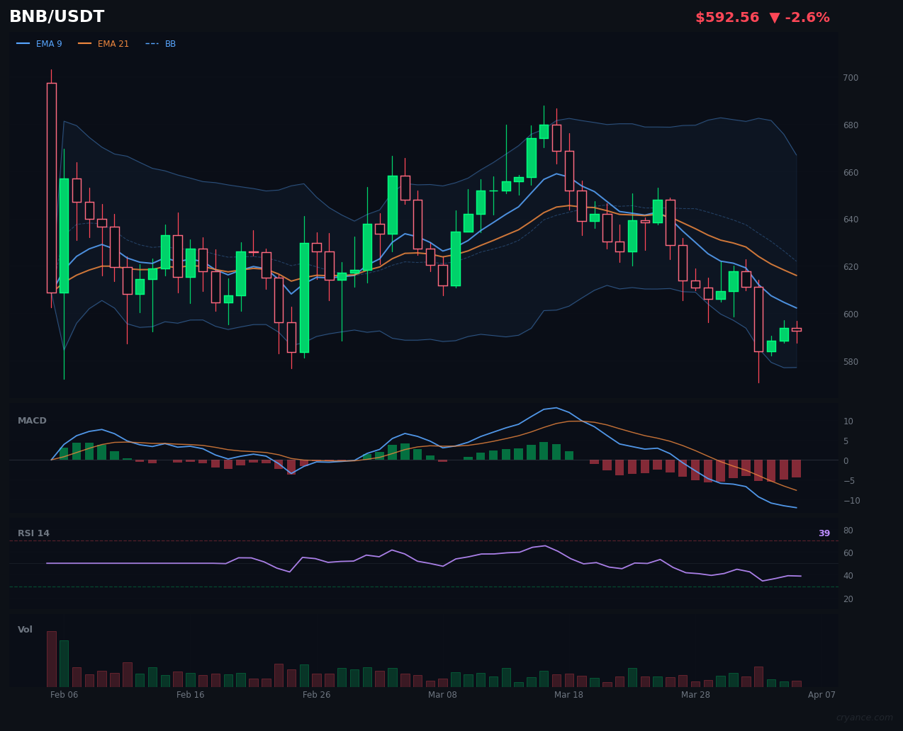 BNB's Unanimous Bearishness Stands Out