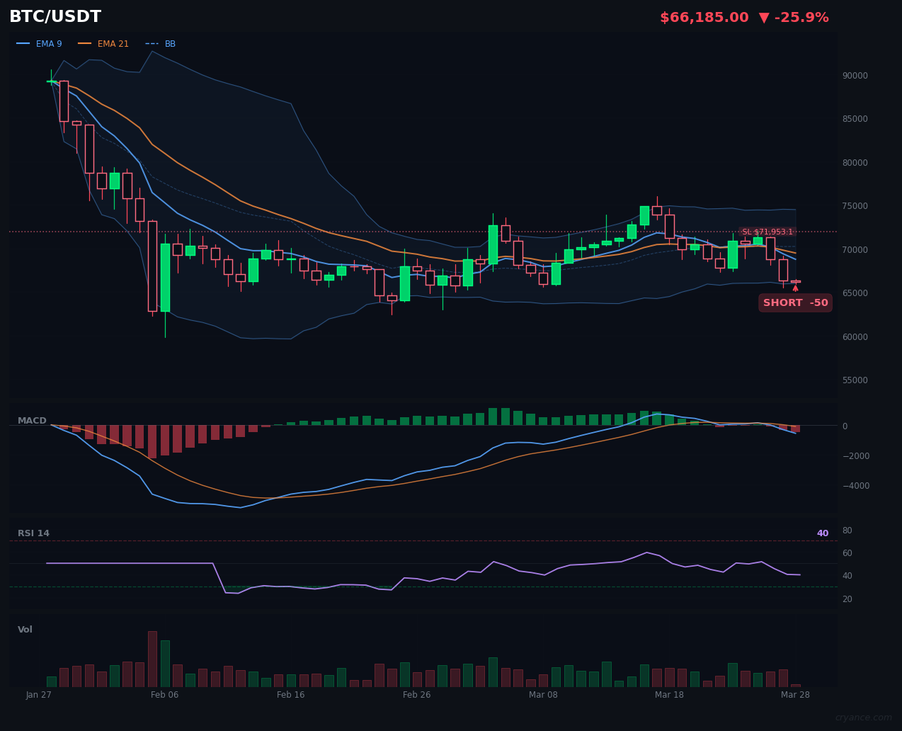 BTC: The Bearish Consensus is Complete