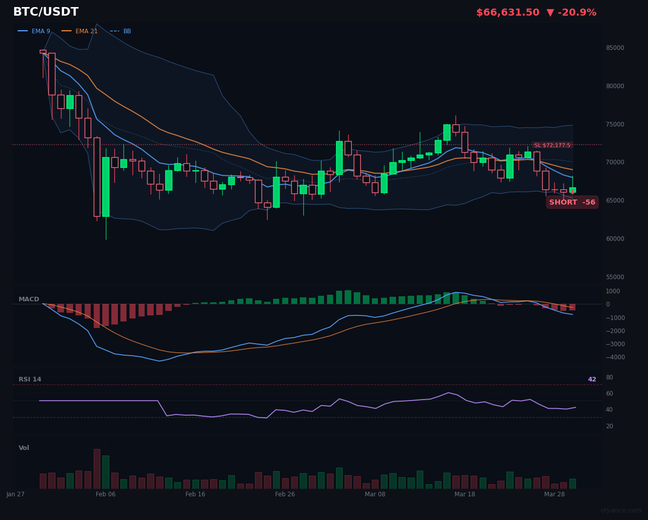 BTC's Bearish Consensus Holds Firm